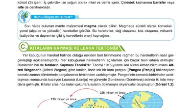 10. Sınıf Tutku Yayıncılık Coğrafya Ders Kitabı Sayfa 17 Cevapları