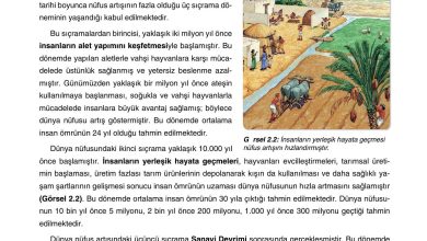 10. Sınıf Tutku Yayıncılık Coğrafya Ders Kitabı Sayfa 171 Cevapları