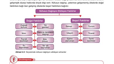 10. Sınıf Tutku Yayıncılık Coğrafya Ders Kitabı Sayfa 174 Cevapları