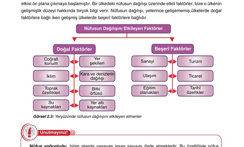 10. Sınıf Tutku Yayıncılık Coğrafya Ders Kitabı Sayfa 174 Cevapları