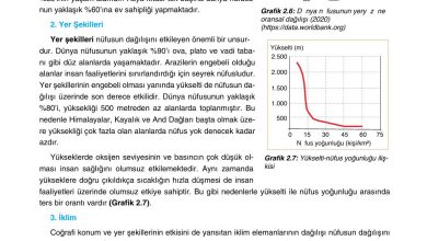 10. Sınıf Tutku Yayıncılık Coğrafya Ders Kitabı Sayfa 175 Cevapları