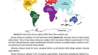 10. Sınıf Tutku Yayıncılık Coğrafya Ders Kitabı Sayfa 178 Cevapları