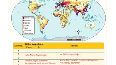 10. Sınıf Tutku Yayıncılık Coğrafya Ders Kitabı Sayfa 179 Cevapları