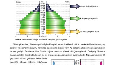 10. Sınıf Tutku Yayıncılık Coğrafya Ders Kitabı Sayfa 180 Cevapları