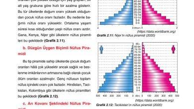 10. Sınıf Tutku Yayıncılık Coğrafya Ders Kitabı Sayfa 181 Cevapları