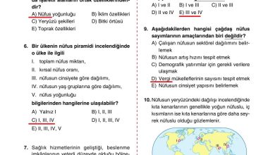 10. Sınıf Tutku Yayıncılık Coğrafya Ders Kitabı Sayfa 186 Cevapları