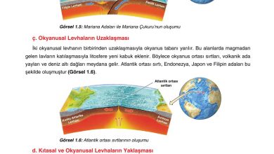 10. Sınıf Tutku Yayıncılık Coğrafya Ders Kitabı Sayfa 19 Cevapları