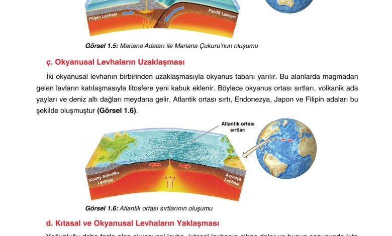 10. Sınıf Tutku Yayıncılık Coğrafya Ders Kitabı Sayfa 19 Cevapları