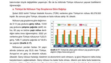 10. Sınıf Tutku Yayıncılık Coğrafya Ders Kitabı Sayfa 194 Cevapları