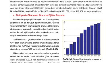 10. Sınıf Tutku Yayıncılık Coğrafya Ders Kitabı Sayfa 195 Cevapları