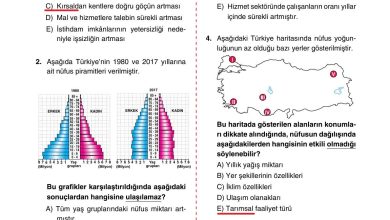 10. Sınıf Tutku Yayıncılık Coğrafya Ders Kitabı Sayfa 199 Cevapları