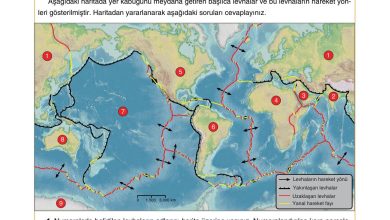 10. Sınıf Tutku Yayıncılık Coğrafya Ders Kitabı Sayfa 20 Cevapları