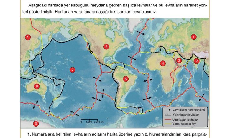 10. Sınıf Tutku Yayıncılık Coğrafya Ders Kitabı Sayfa 20 Cevapları