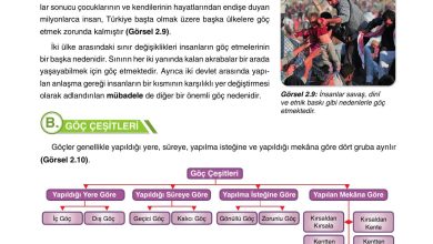 10. Sınıf Tutku Yayıncılık Coğrafya Ders Kitabı Sayfa 203 Cevapları