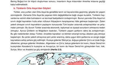 10. Sınıf Tutku Yayıncılık Coğrafya Ders Kitabı Sayfa 205 Cevapları