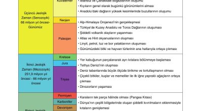 10. Sınıf Tutku Yayıncılık Coğrafya Ders Kitabı Sayfa 21 Cevapları