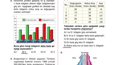 10. Sınıf Tutku Yayıncılık Coğrafya Ders Kitabı Sayfa 213 Cevapları