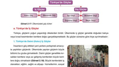 10. Sınıf Tutku Yayıncılık Coğrafya Ders Kitabı Sayfa 216 Cevapları