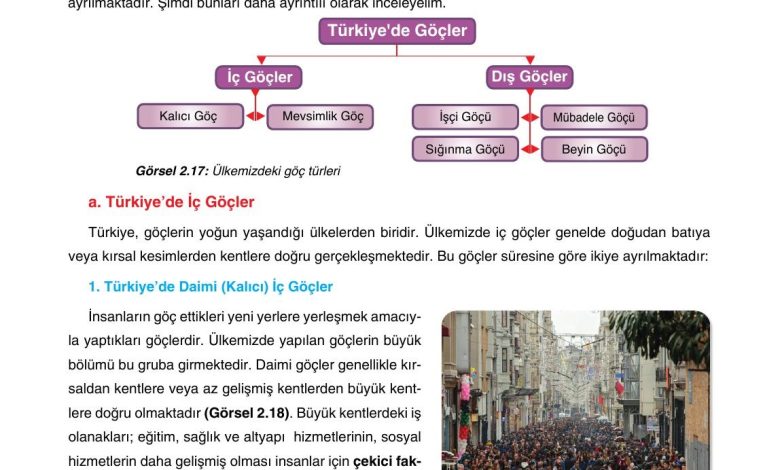 10. Sınıf Tutku Yayıncılık Coğrafya Ders Kitabı Sayfa 216 Cevapları