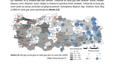 10. Sınıf Tutku Yayıncılık Coğrafya Ders Kitabı Sayfa 217 Cevapları