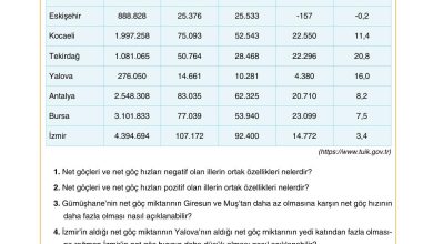 10. Sınıf Tutku Yayıncılık Coğrafya Ders Kitabı Sayfa 221 Cevapları