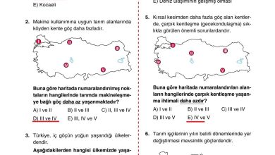 10. Sınıf Tutku Yayıncılık Coğrafya Ders Kitabı Sayfa 225 Cevapları