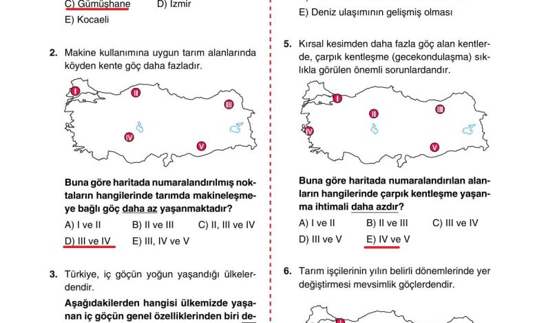 10. Sınıf Tutku Yayıncılık Coğrafya Ders Kitabı Sayfa 225 Cevapları