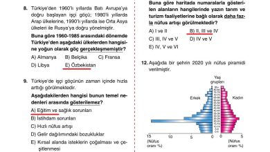 10. Sınıf Tutku Yayıncılık Coğrafya Ders Kitabı Sayfa 226 Cevapları