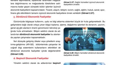 10. Sınıf Tutku Yayıncılık Coğrafya Ders Kitabı Sayfa 229 Cevapları