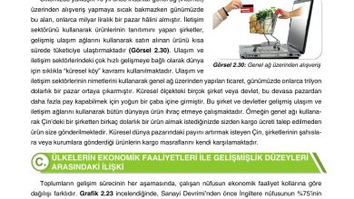 10. Sınıf Tutku Yayıncılık Coğrafya Ders Kitabı Sayfa 230 Cevapları