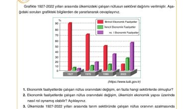 10. Sınıf Tutku Yayıncılık Coğrafya Ders Kitabı Sayfa 232 Cevapları