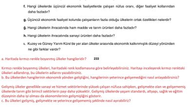 10. Sınıf Tutku Yayıncılık Coğrafya Ders Kitabı Sayfa 233 Cevapları