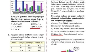 10. Sınıf Tutku Yayıncılık Coğrafya Ders Kitabı Sayfa 234 Cevapları