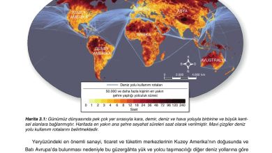 10. Sınıf Tutku Yayıncılık Coğrafya Ders Kitabı Sayfa 239 Cevapları