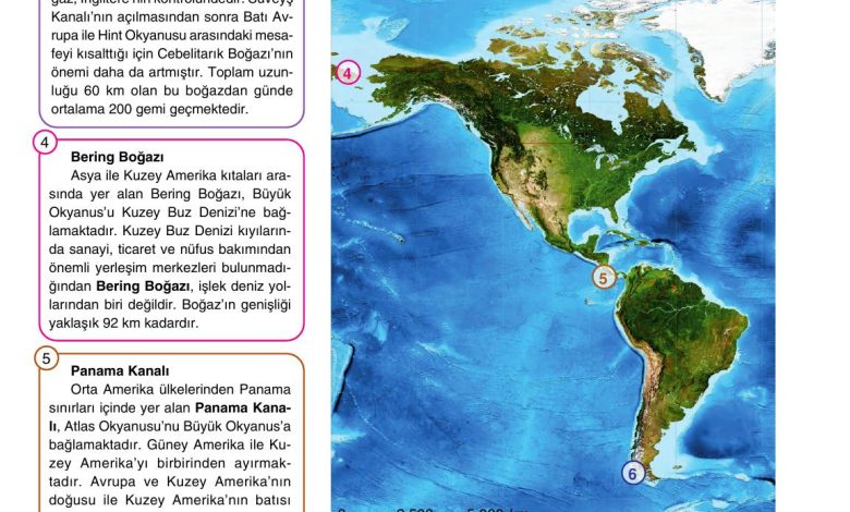 10. Sınıf Tutku Yayıncılık Coğrafya Ders Kitabı Sayfa 240 Cevapları