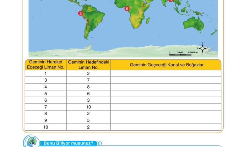 10. Sınıf Tutku Yayıncılık Coğrafya Ders Kitabı Sayfa 243 Cevapları