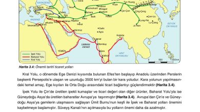 10. Sınıf Tutku Yayıncılık Coğrafya Ders Kitabı Sayfa 244 Cevapları