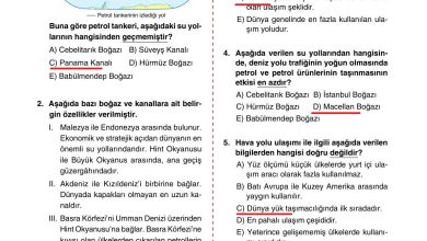 10. Sınıf Tutku Yayıncılık Coğrafya Ders Kitabı Sayfa 250 Cevapları