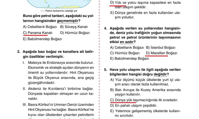 10. Sınıf Tutku Yayıncılık Coğrafya Ders Kitabı Sayfa 250 Cevapları