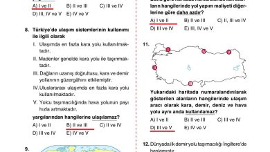 10. Sınıf Tutku Yayıncılık Coğrafya Ders Kitabı Sayfa 251 Cevapları