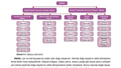 10. Sınıf Tutku Yayıncılık Coğrafya Ders Kitabı Sayfa 253 Cevapları