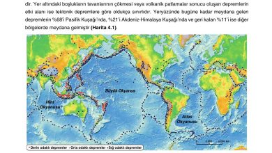 10. Sınıf Tutku Yayıncılık Coğrafya Ders Kitabı Sayfa 255 Cevapları