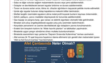 10. Sınıf Tutku Yayıncılık Coğrafya Ders Kitabı Sayfa 256 Cevapları