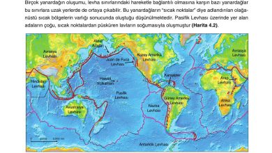 10. Sınıf Tutku Yayıncılık Coğrafya Ders Kitabı Sayfa 259 Cevapları