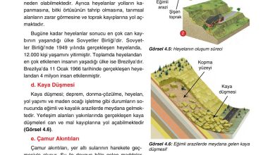 10. Sınıf Tutku Yayıncılık Coğrafya Ders Kitabı Sayfa 260 Cevapları