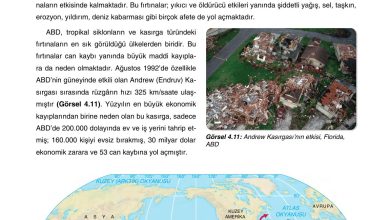 10. Sınıf Tutku Yayıncılık Coğrafya Ders Kitabı Sayfa 263 Cevapları