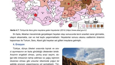 10. Sınıf Tutku Yayıncılık Coğrafya Ders Kitabı Sayfa 268 Cevapları