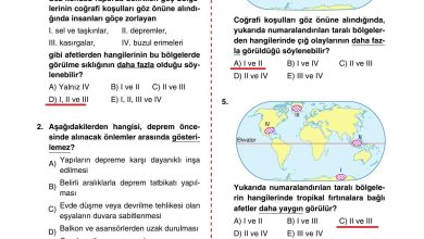 10. Sınıf Tutku Yayıncılık Coğrafya Ders Kitabı Sayfa 274 Cevapları