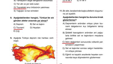 10. Sınıf Tutku Yayıncılık Coğrafya Ders Kitabı Sayfa 275 Cevapları