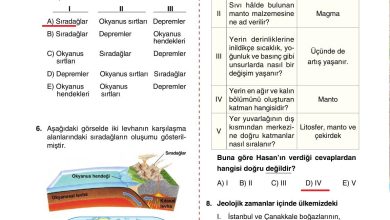 10. Sınıf Tutku Yayıncılık Coğrafya Ders Kitabı Sayfa 28 Cevapları